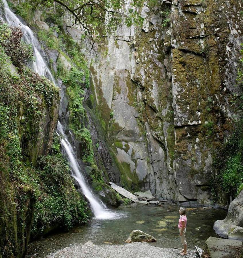 A Pequena Casa Coja Central Portugal Mountains Екстериор снимка